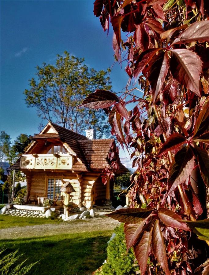 Arcychata Zakopane Ngoại thất bức ảnh