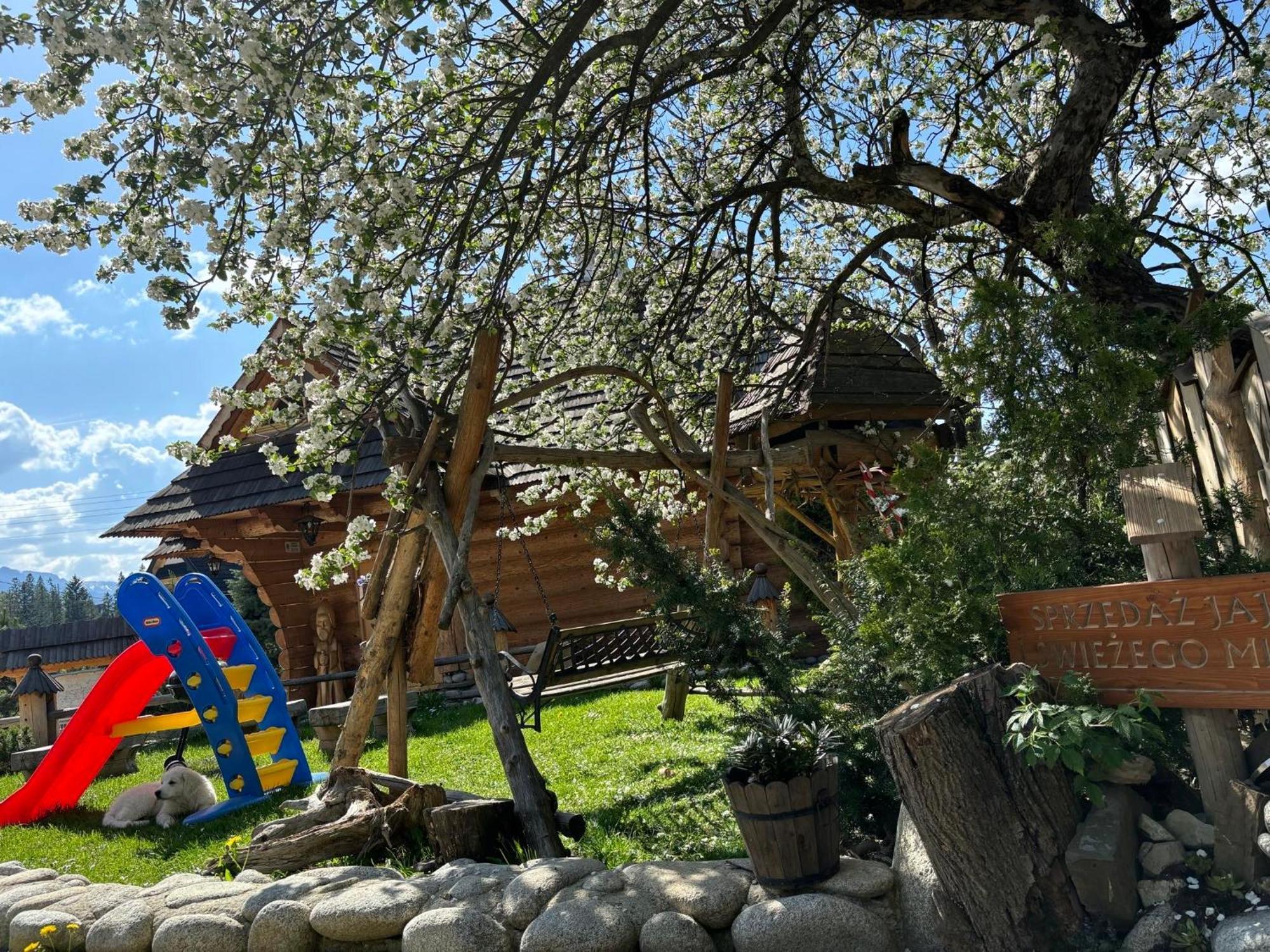 Arcychata Zakopane Ngoại thất bức ảnh